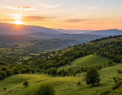 საილუსტრაციო